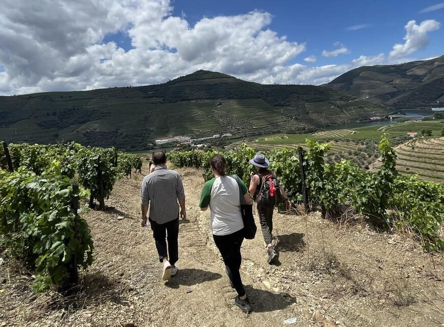 From Porto : Douro Valley sightseeing with 1 Winery Visit - Who This Tour Fits Best (and Who Should Skip It)