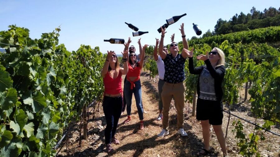 From Porto: Douro Valley Tour with Tastings, Boat & Lunch - A Douro day trip that feels like a real plan, not a bus ride