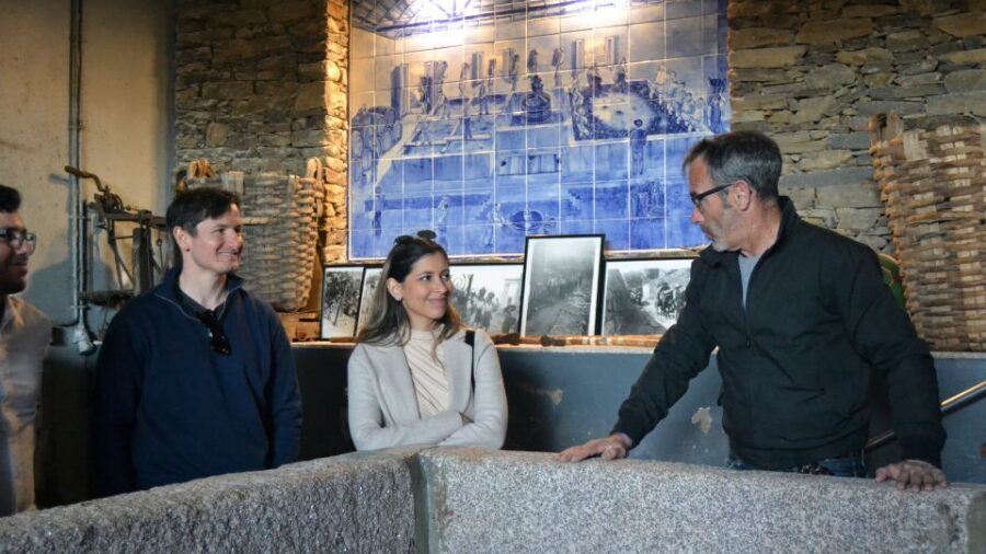 From Porto: Douro Valley Tour with Tastings, Boat & Lunch - Price and value: is $165 a fair deal?