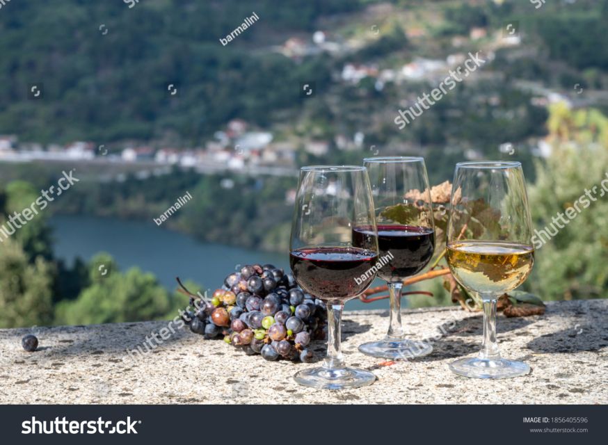 From Porto: Full-Day Douro Historical Tour - Key Things I’d Notice Right Away