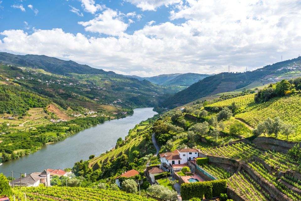 From Porto: Full-Day Douro Historical Tour - A 10-hour Douro Day From Porto: How the Pace Works