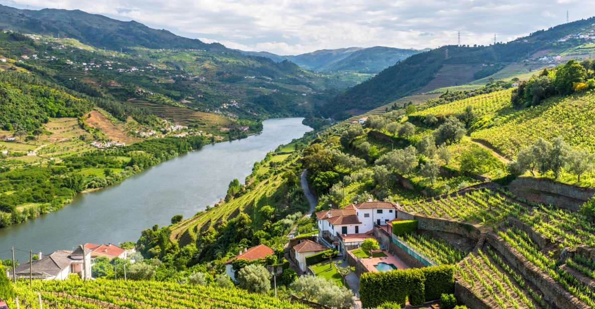From Porto: Full-Day Douro Historical Tour - Amarante and the Monastery of Saint Gonçalo: Your Historic Stop