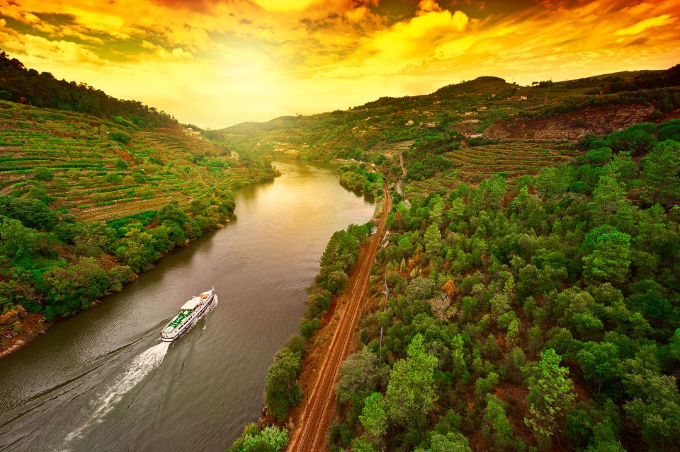 From Porto: Full-Day Douro Historical Tour - Who This Douro Historical Tour Is Best For