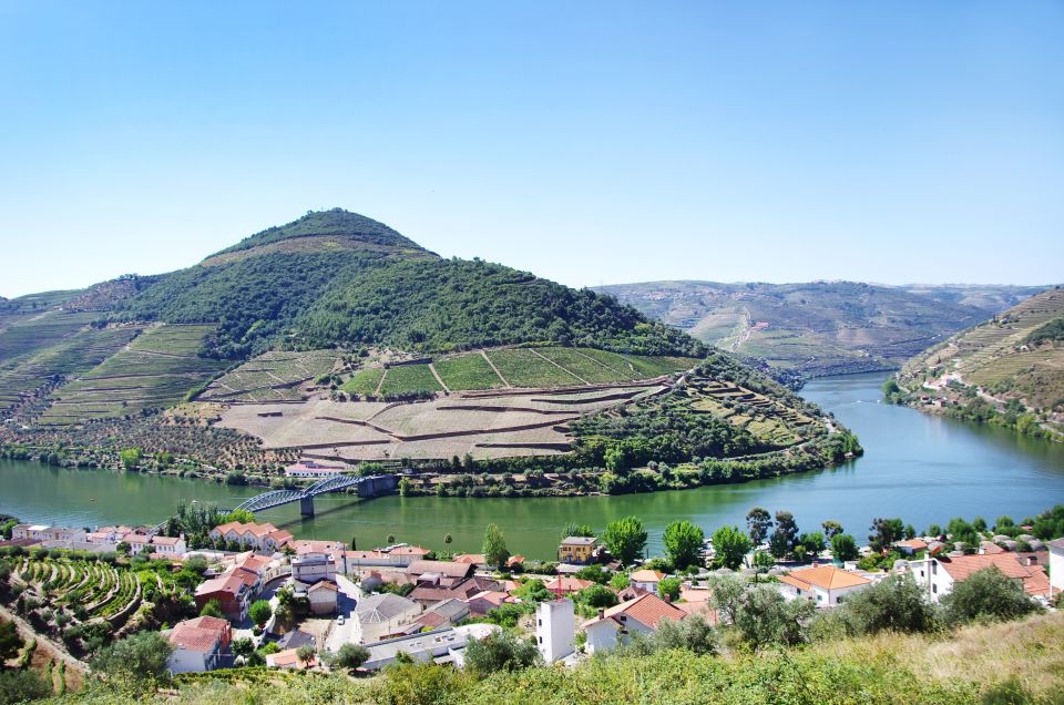 From Porto: Full-Day Douro Historical Tour - Should You Book This $104 Douro Day?