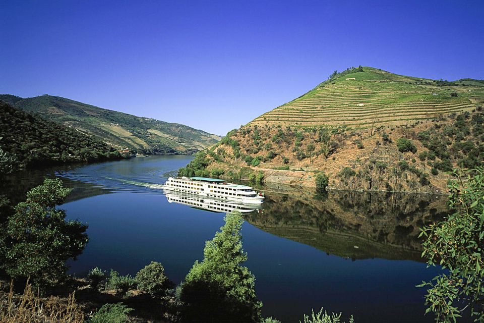 From Porto: Full-Day Douro Historical Tour - Meeting Point Near São Bento and What to Bring