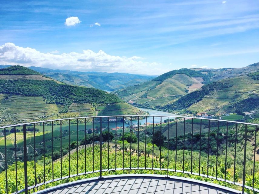 From Porto: Full-Day Douro Valley Trip - Scenic Drive Along the N222: Viewpoints Where You Actually Stop