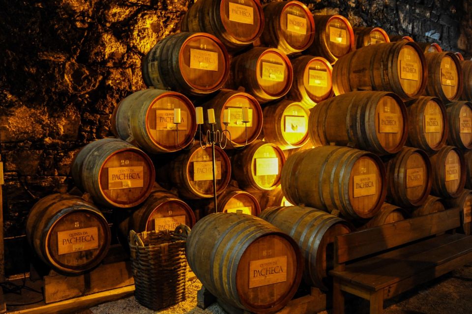 From Porto: Full-Day Douro Valley Trip - Who This Douro Valley Trip Best Suits