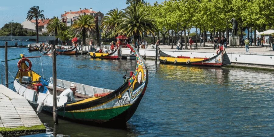 From Porto: Full-Day Trip to Coimbra & Aveiro with Boat Ride - Coimbra First: Old Capital Energy Without the Overload