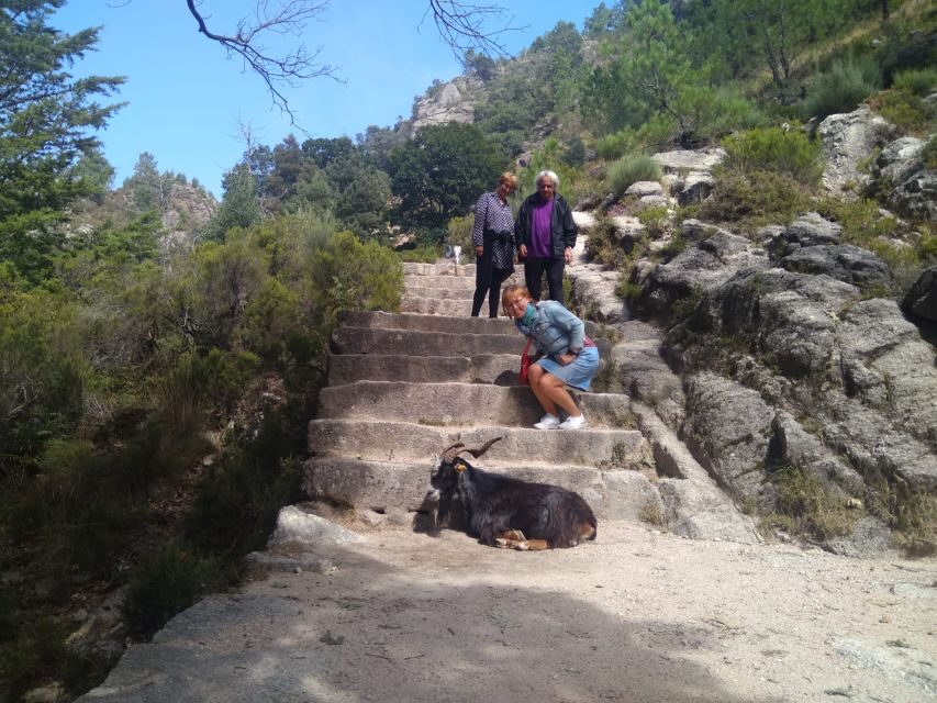 From Porto: Guided tour to Gerês Park - Peneda‑Gerês in a single day: why the park earns the trip