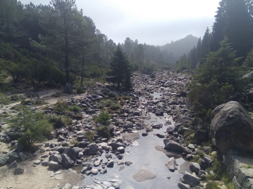 From Porto: Guided tour to Gerês Park - Village stops and the wolf-area lunch break
