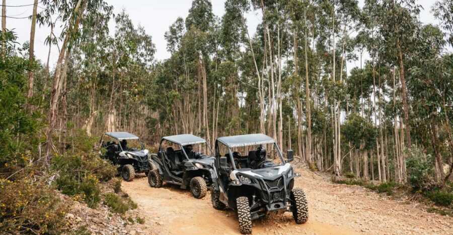 From Porto: Off-Road Buggy Adventure - Key Things You’ll Notice on This Off-Road Buggy Adventure