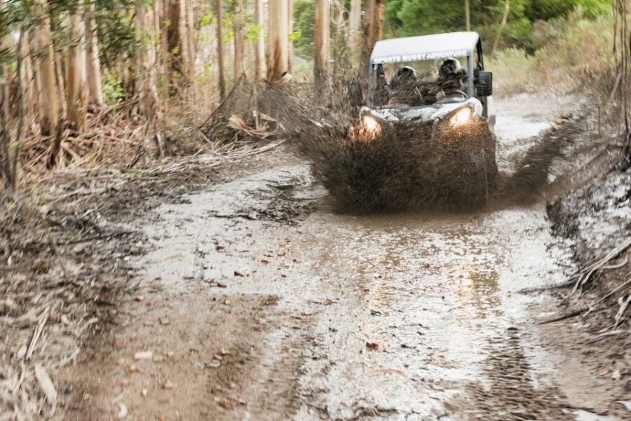 From Porto: Off-Road Buggy Adventure - Off-Road Buggy Fun From Porto Without the Rental-Car Grind