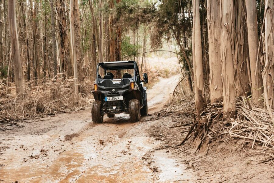 From Porto: Off-Road Buggy Adventure - Castro Mozinho Roman Ruins: History You Can Actually Picture