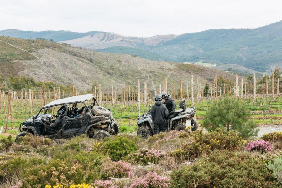 From Porto: Off-Road Buggy Adventure - The Buggy Setup: Who Drives, How Big the Group Really Is