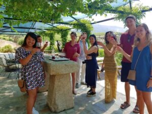From Porto: Premium Douro Valley 4 Vineyards Tour with Lunch - Morning pickup in Porto: lots of options, one goal