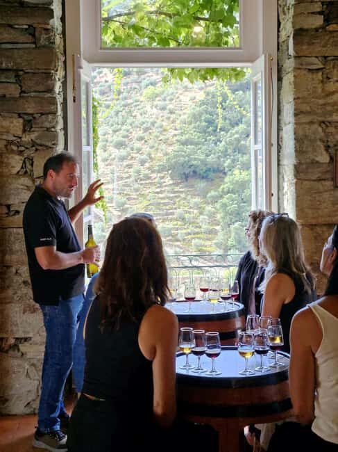From Porto: Premium Douro Valley 4 Vineyards Tour with Lunch - The first vineyard visit: getting oriented before the big tastings