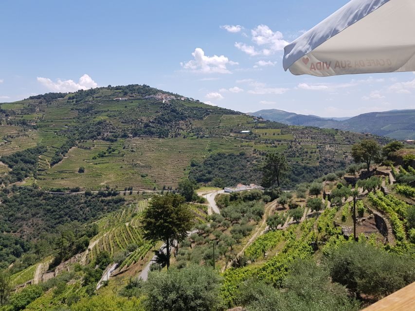 From Porto: Premium Douro Valley 4 Vineyards Tour with Lunch - The short sightseeing break on National Road 222