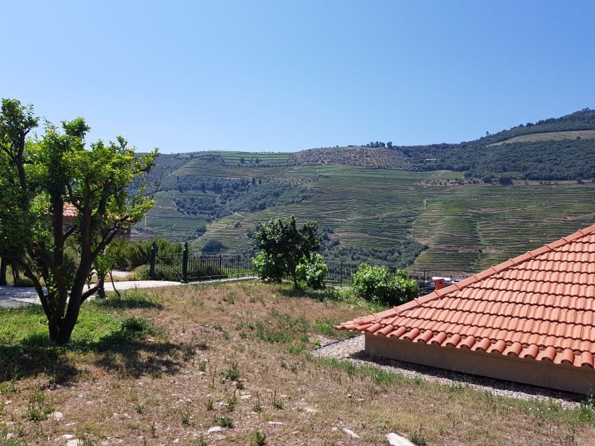 From Porto: Premium Douro Valley 4 Vineyards Tour with Lunch - Olive oil and Port: a mid-day stop that adds real variety