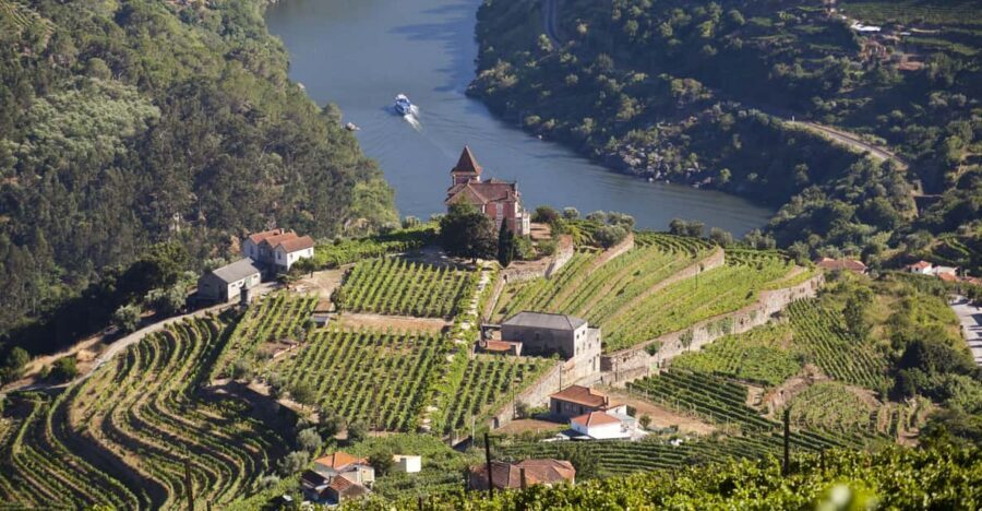 From Porto: Premium Douro Valley Small-Group Wine Tour - Key highlights worth your attention
