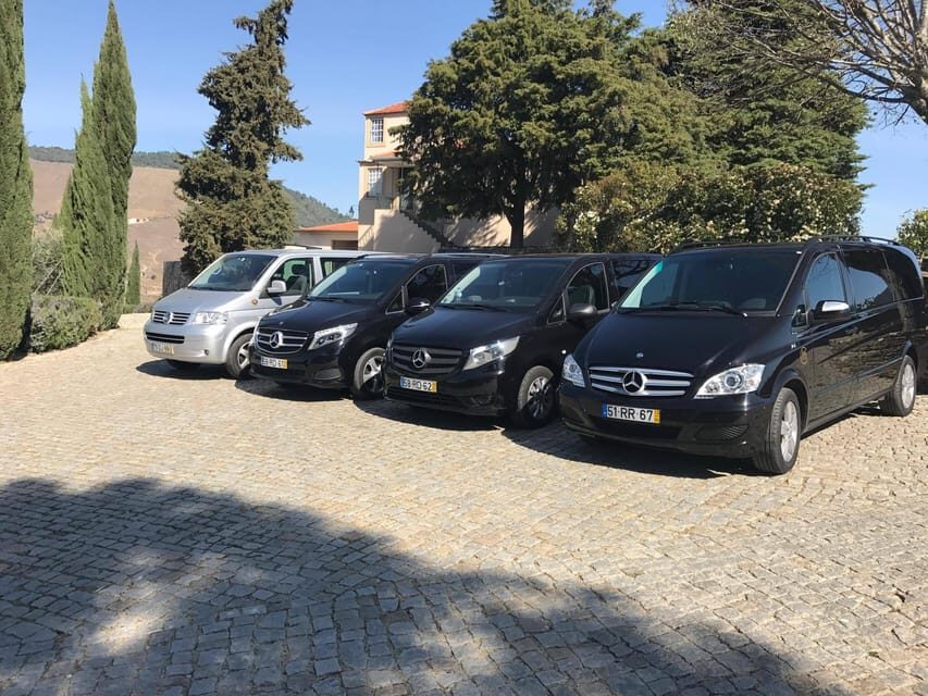 From Porto: Premium Douro Valley Small-Group Wine Tour - Who should book this Douro Valley wine tour from Porto