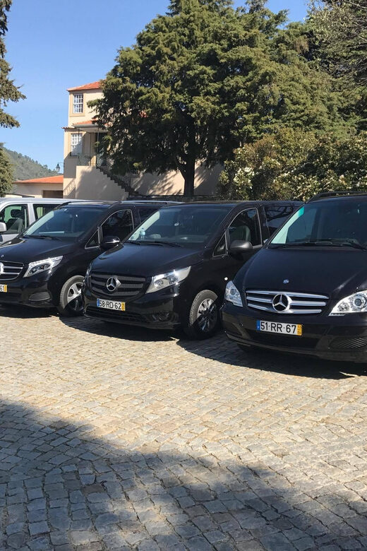 From Porto: Premium Douro Valley Small-Group Wine Tour - First winery visit: port, table wines, and Douro production basics