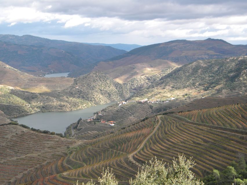 From Porto: Private Douro Valley Tour with Booking Service - Who this Douro Valley private tour is best for