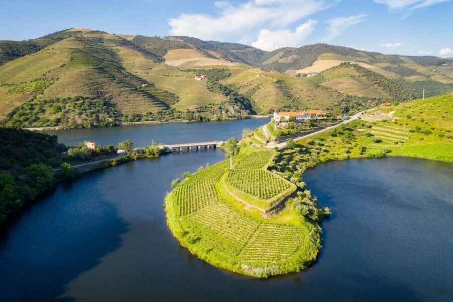 From Porto: Private Douro Valley Tour with Booking Service - Porto to the Douro in one smart, comfortable day