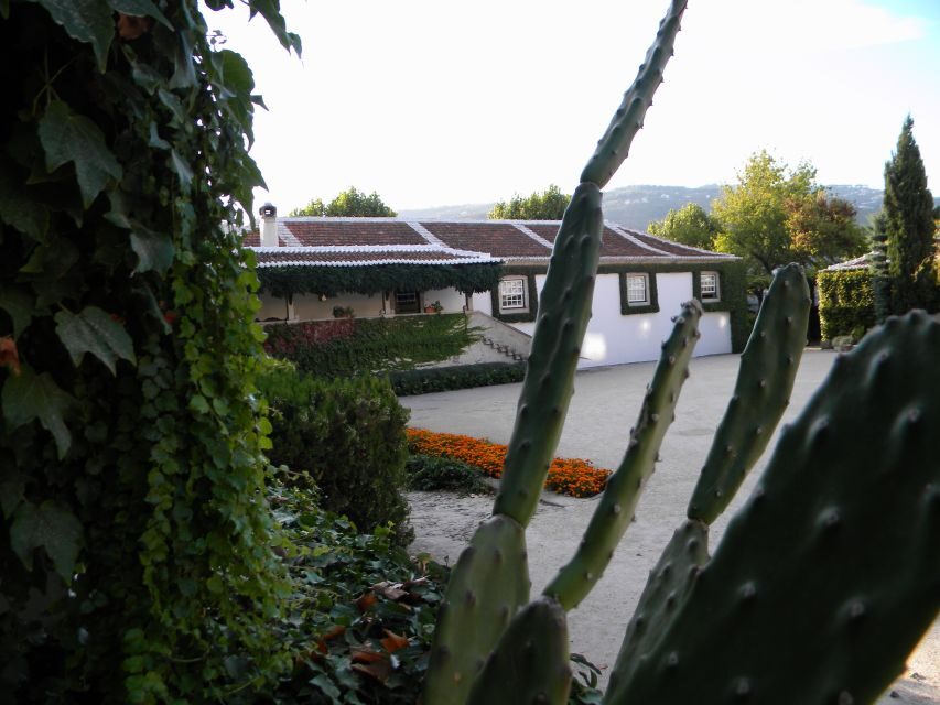 From Porto: Private Douro Valley Tour with Booking Service - What’s included vs what you’ll pay for