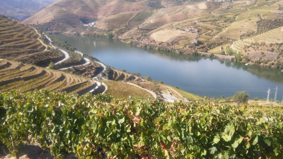 From Porto: Private Douro Valley Tour with Cruise and Wine - River cruise option on the Douro: relax, then get Port-tasting context
