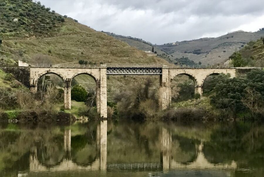 From Porto: Private Douro Valley Tour with Cruise and Wine - Two wineries and wine tasting that actually gives you contrast