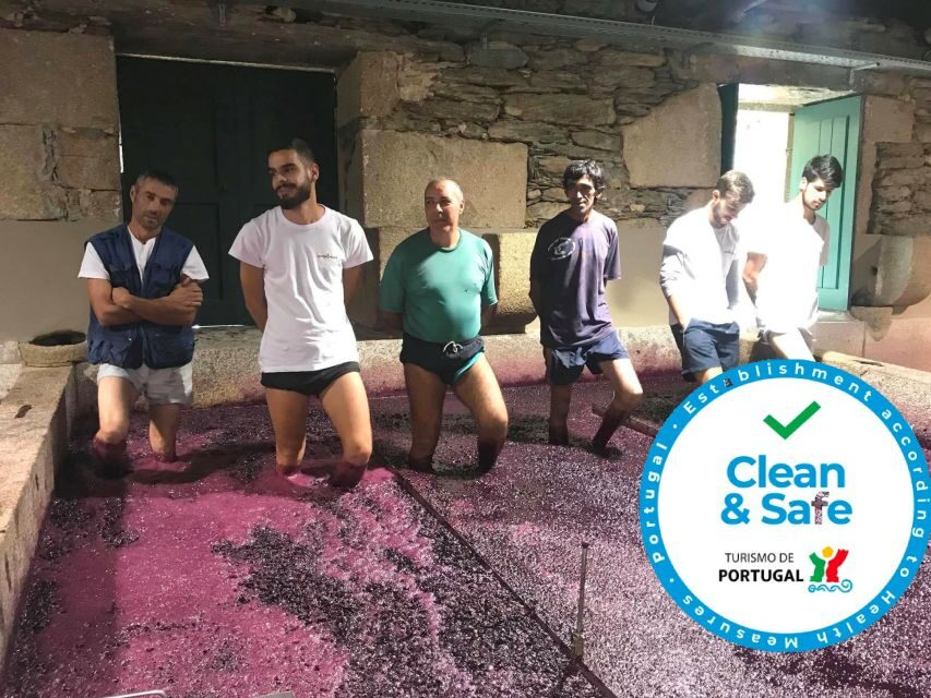 From Porto: Private Douro Valley Tour with Cruise and Wine - Timing and comfort for a full 10-hour Porto-to-Douro loop