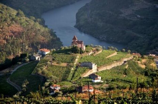 From Porto Private Tour Douro Valley two Wineries, Lunch and Boat. - Key highlights before you go
