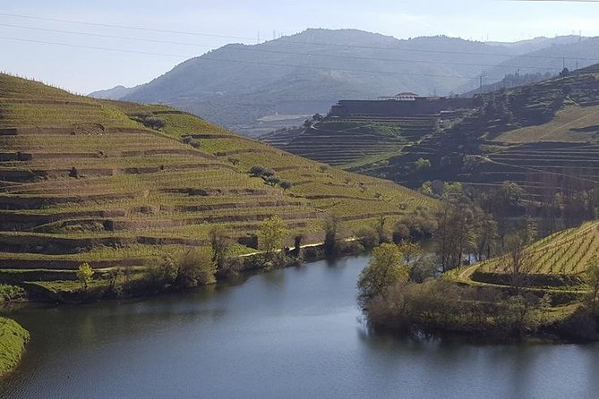 From Porto Private Tour Douro Valley two Wineries, Lunch and Boat. - Private Porto pickup: how the 8 to 10-hour day really plays out
