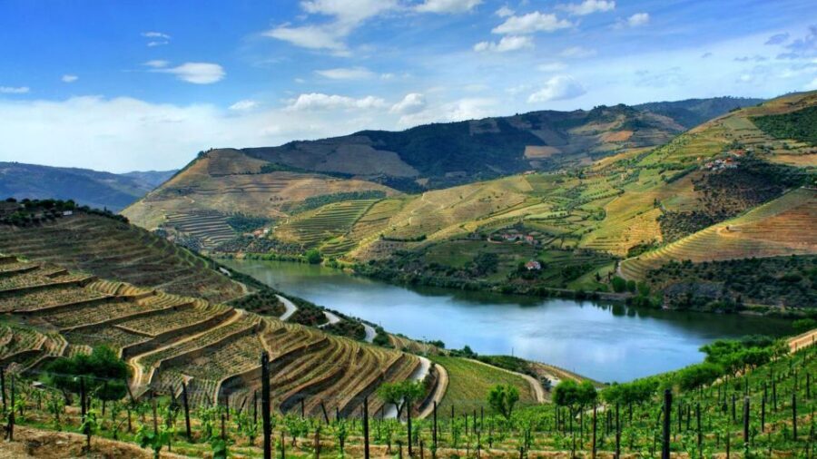 From Porto: Régua to Porto River Cruise with Lunch on Board - A 10-hour Douro escape built around the river, not the crowds
