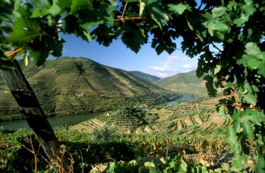 From Porto: Régua to Porto River Cruise with Lunch on Board - Régua break and wine-country context: UNESCO in plain sight