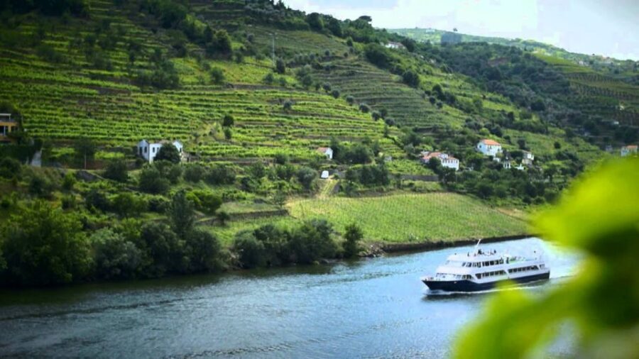 From Porto: Régua to Porto River Cruise with Lunch on Board - Guide and onboard commentary: great when it lands, mixed when it doesn’t