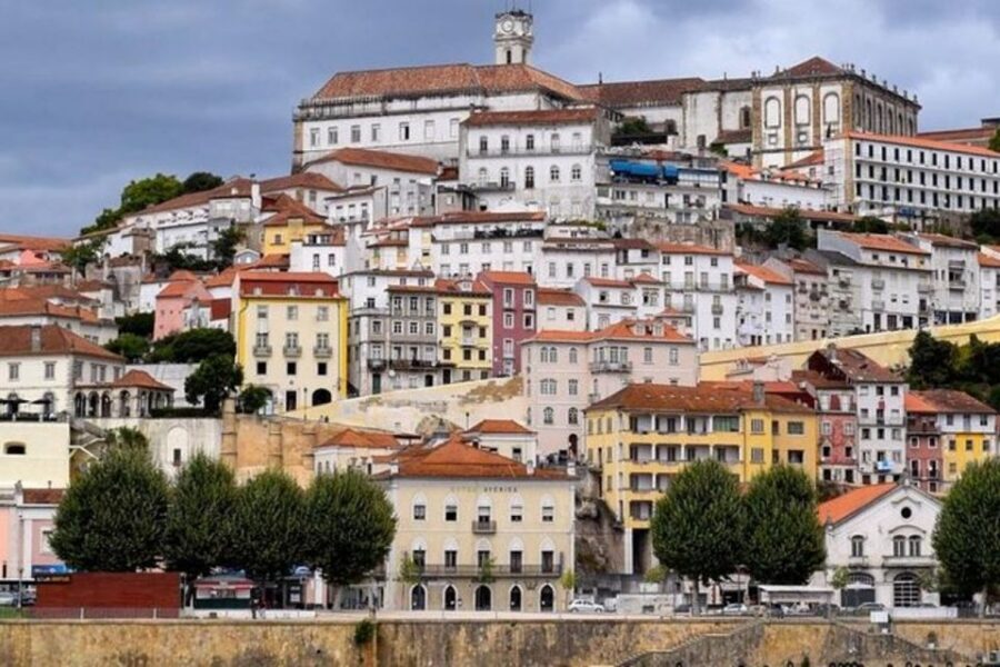From Porto: Sanctuary of Fatima & Coimbra Private Day Trip - The Azinheira Grande and choosing how you want to experience Fátima