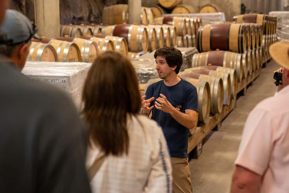 From Porto: Small Group Douro Valley Tour with Wine & Cruise - Practical travel tips so the day stays fun