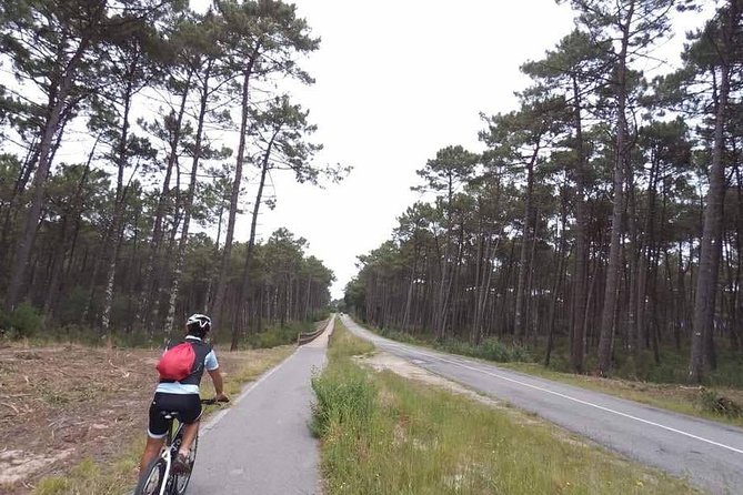 From Porto with view to Gaia: Private Bike Tour #DuckSideOfPorto - Igreja da Confraria das Almas do Corpo Santo de Massarelos: More Than a Photo Stop