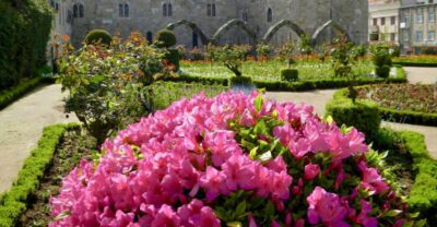 From Porto: Wonders of Braga & Guimaraes Private Day Trip - Getting there: comfort, timing, and what the drive gives you