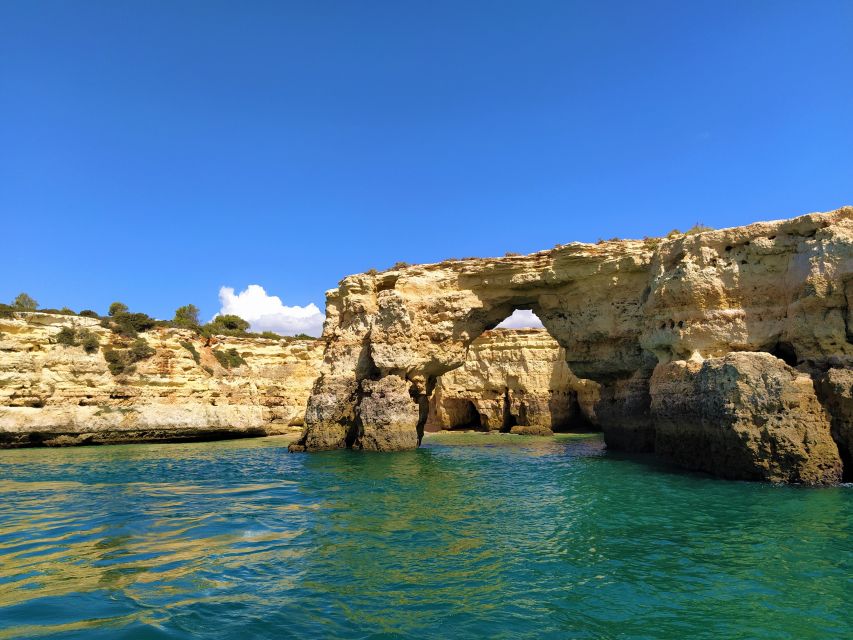 From Vilamoura: 2.5-Hour Benagil Cave and Dolphins Boat Tour - Who should book this Benagil and dolphins speedboat tour