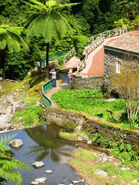 Full-Day 4x4 Nordeste Azores Tour from Ponta Delgada - Pico Bartolomeu: the high stop where the island makes sense