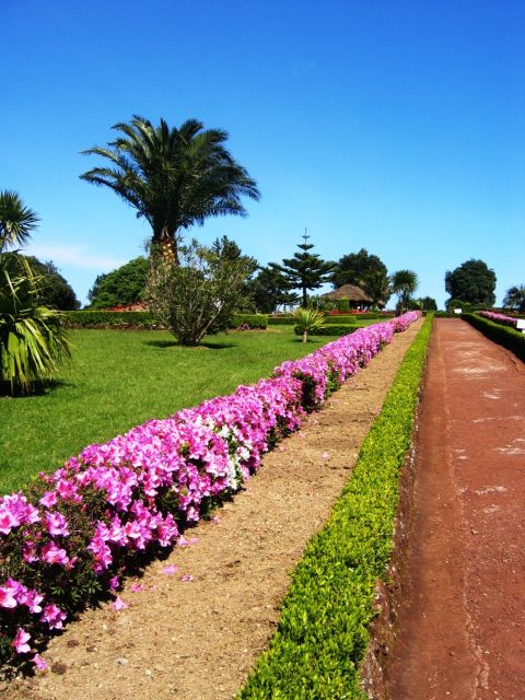 Full-Day 4x4 Nordeste Azores Tour from Ponta Delgada - Price and value: what $94 buys for an 8-hour day