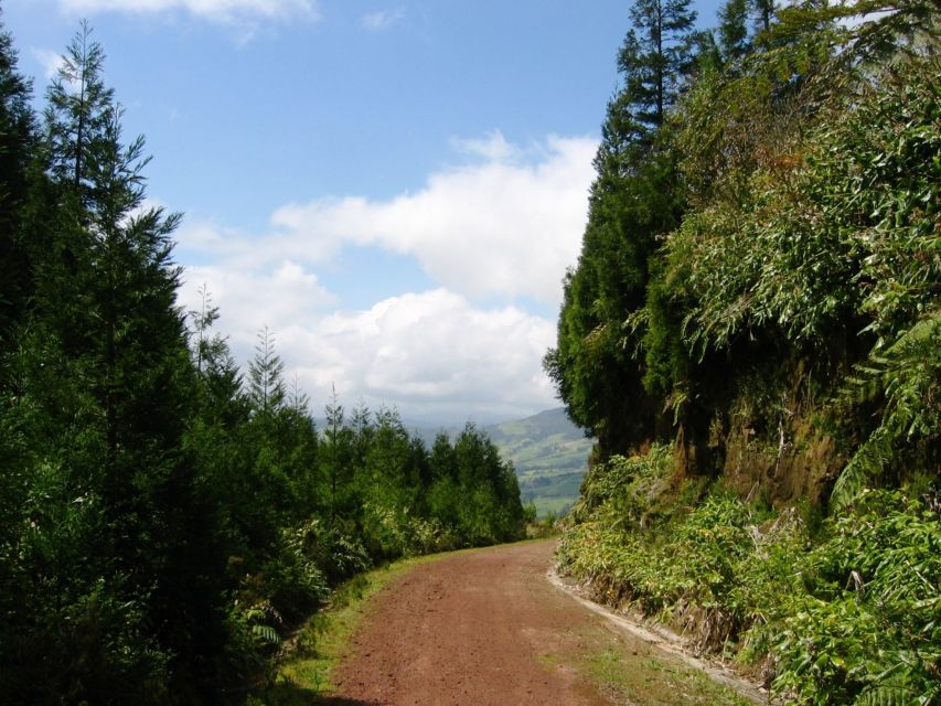 Full-Day 4x4 Nordeste Azores Tour from Ponta Delgada - Along the north coast: Ribeira Grande and Porto Formoso