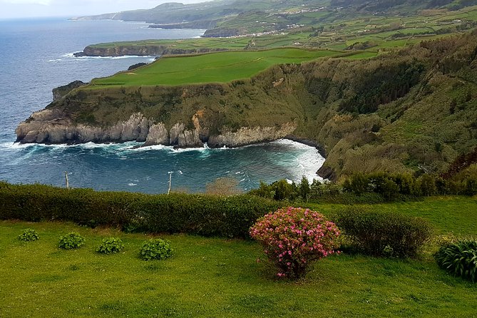 Full-Day Furnas Adventure: Lake, Fumaroles and Thermal Pools - Stop 2: Parque Terra Nostra and the Plant-Spotting Hour