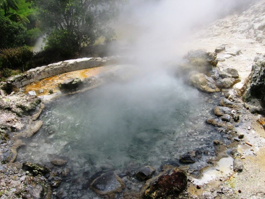Full-Day Furnas Azores 4x4 Tour from Ponta Delgada - Gorreana Tea Plantation: Why This Stop Matters