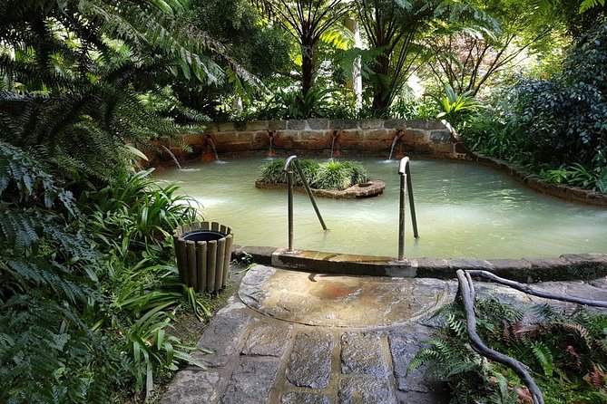 Full-Day Furnas Tour: Hot Springs, Traditional Lunch & Tea - Vila Franca do Campo snacks: optional, but worth knowing