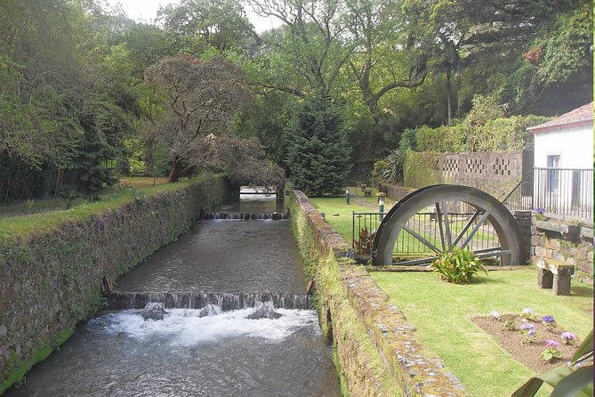 Full Day Guided Tour to Furnas with Lunch Included - Porto Formoso Tea Factory and Plantations: A Sweet Change of Pace