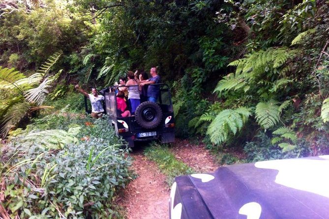 Full Day Jeep Safari East - Pico do Areeiro - Santana - Ponta de são Lourenço - Santana’s thatched houses: culture, scenery, and lunch with breathing room