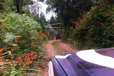 Full-Day Jeep Safari West: Fanal, Porto Moniz, Seixal, Cabo Girão - Cabo Girão Glass Floor: The Nearly 600-Meter Wow Stop